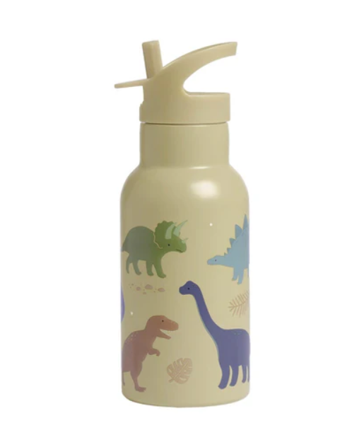 Stainless Steel Drink Bottle: Dinosaurs